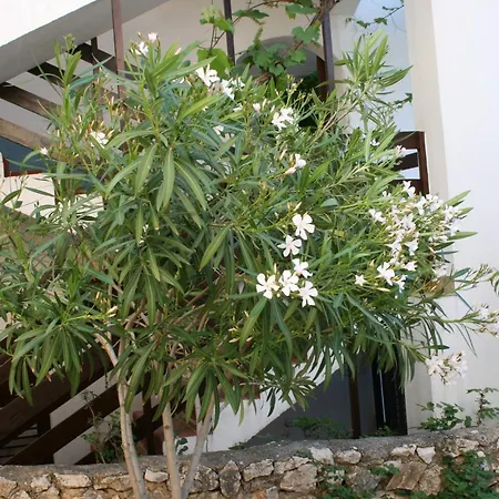 By The Sea Mandre, Pag - 6416