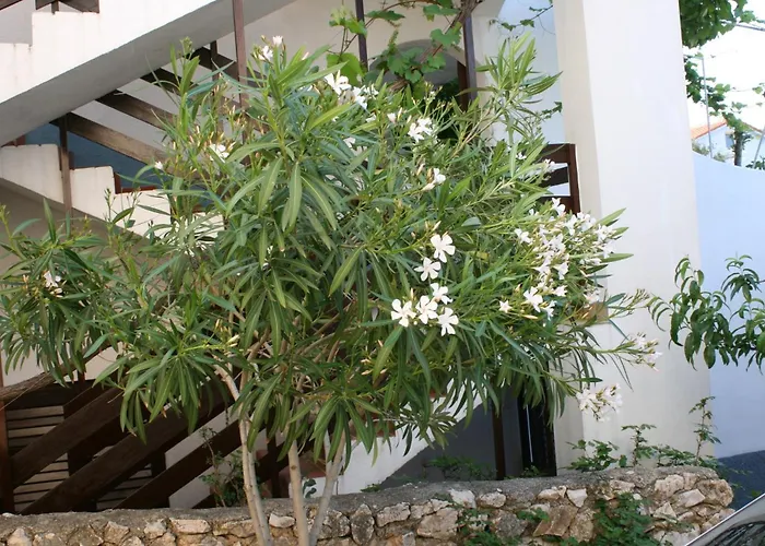 By The Sea Mandre, Pag - 6416